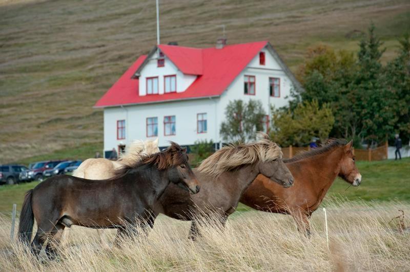 Geitaskarth Villa Blonduos Kültér fotó